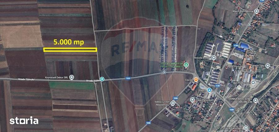 Teren de 5000 mp, în Tărlungeni