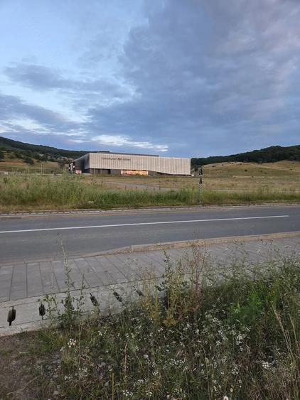 Teren de 21000 mp, în Exterior Vest