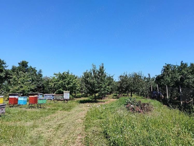 Casă cu Teren 2400 Mp în Bilciurești
