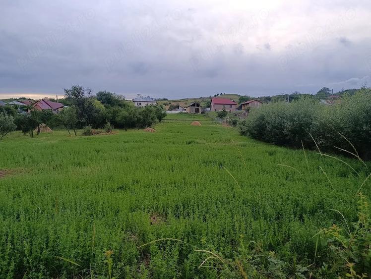 Teren de 4000 mp, în Poiana