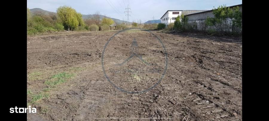 Teren de 6500 mp, în Șieu