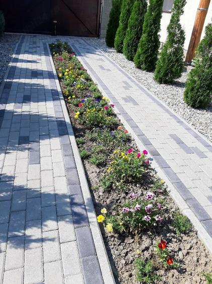 Casă cu 2 camere cu Teren 795 Mp în Central
