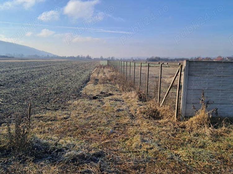 Teren de 8700 mp, în Livada (Iclod)