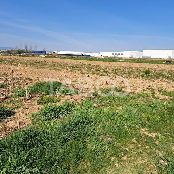 Teren agricol extravilan de 4166 mp, în Șelimbăr