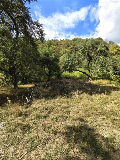 Teren agricol extravilan de 2500 mp, în Periferie