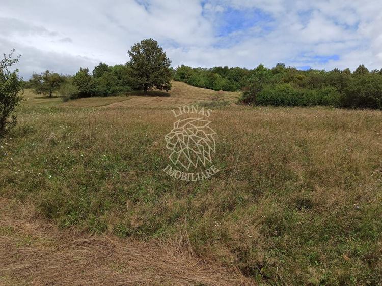 Teren agricol extravilan de 5200 mp, în Livezile