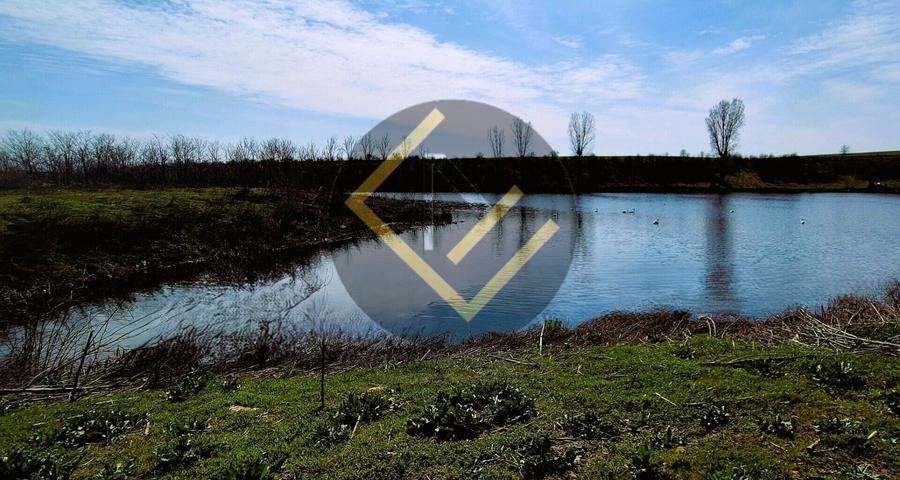 Teren Construcții intravilan de 5000 mp, în Moara Domnească