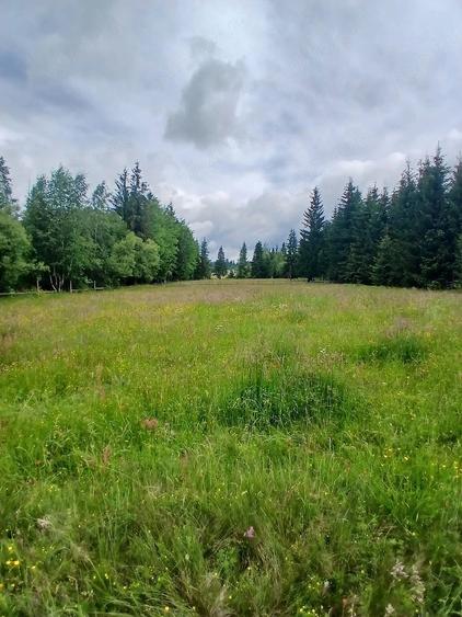 Teren de 6000 mp, în Central