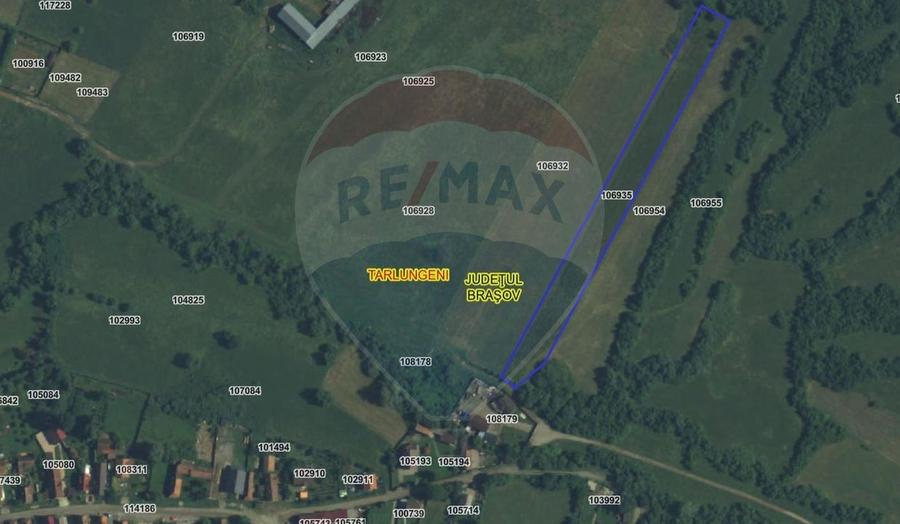 Teren agricol extravilan de 5800 mp, în Purcăreni