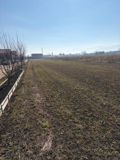 Teren Construcții intravilan de 6000 mp, în Stupini
