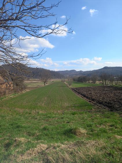 Teren Construcții intravilan de 3400 mp, în Trei Sate