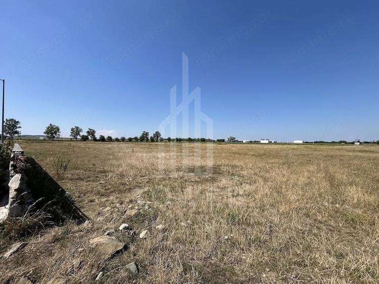 Teren de 1500 mp, în Periferie