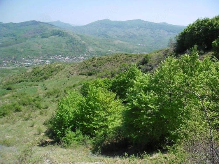 Teren de 5000 mp, în Chiojdu