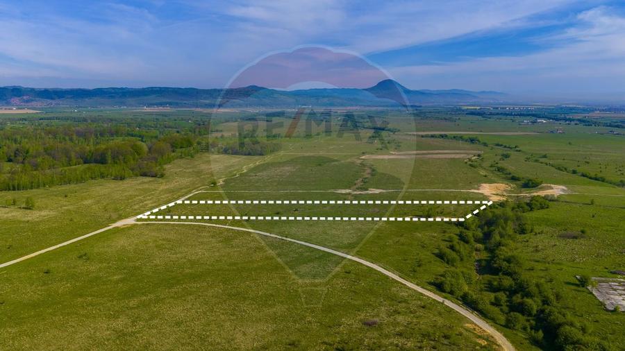 Teren agricol extravilan de 13800 mp, în Glăjărie
