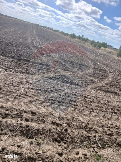 Teren de 4500 mp, în Ciorogârla