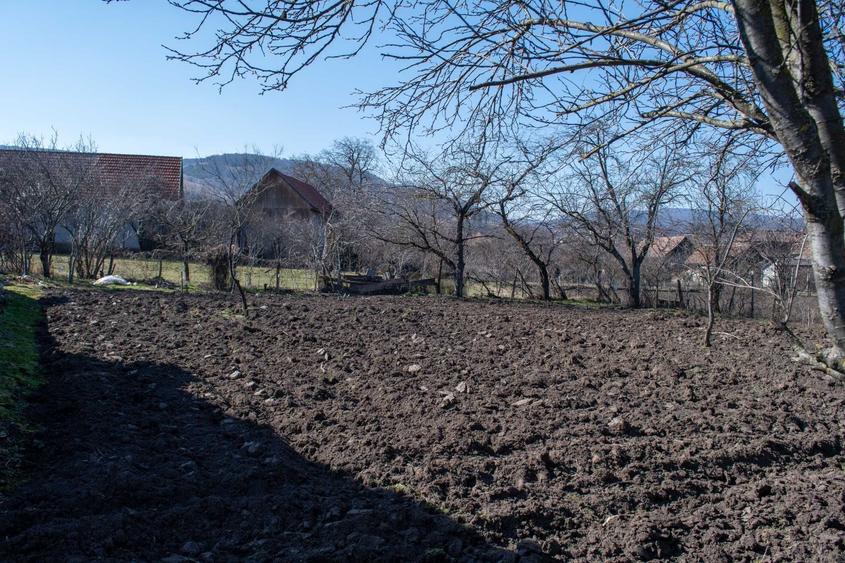 Casă cu 3 camere în Moldovenești