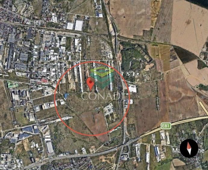 Teren Construcții intravilan de 18338 mp, în Cernica