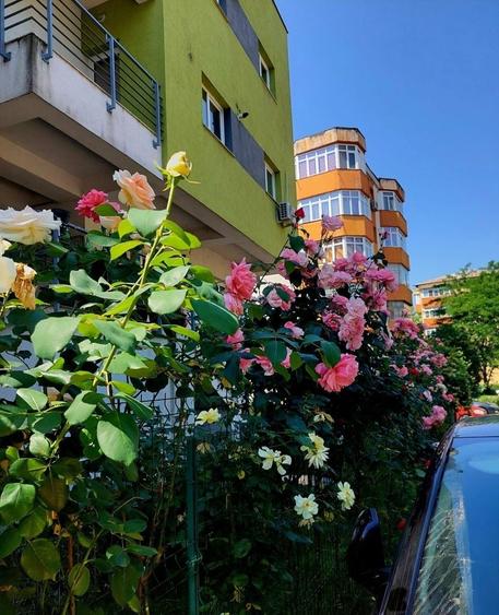 Apartament cu 3 camere decomandat în George Enescu