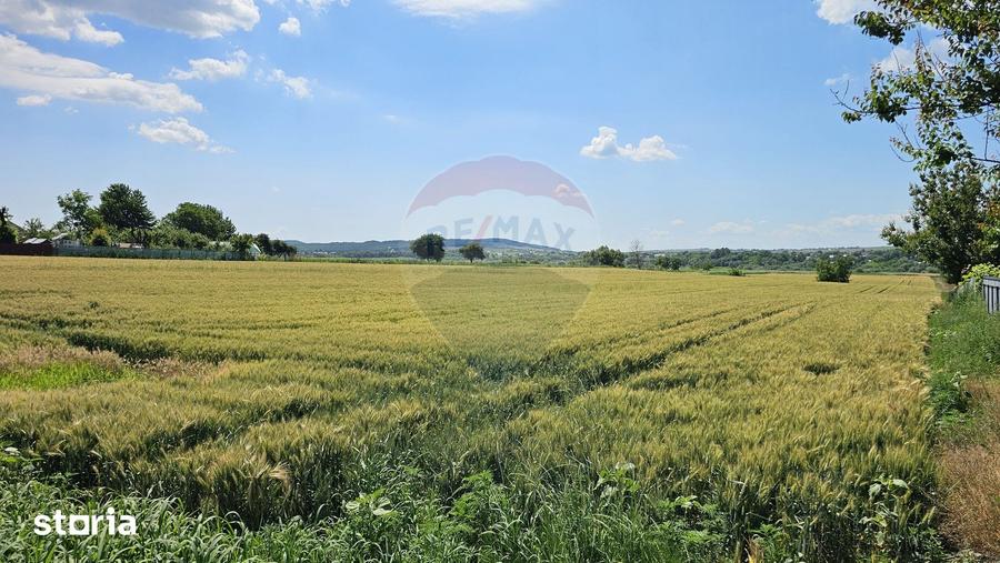 Teren de 15000 mp, în Central