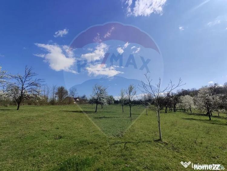 Teren în Cărbunari