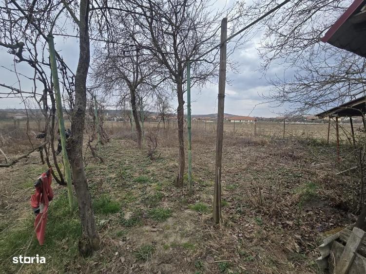 Casă cu 3 camere cu Teren 1000 Mp în Mihalț