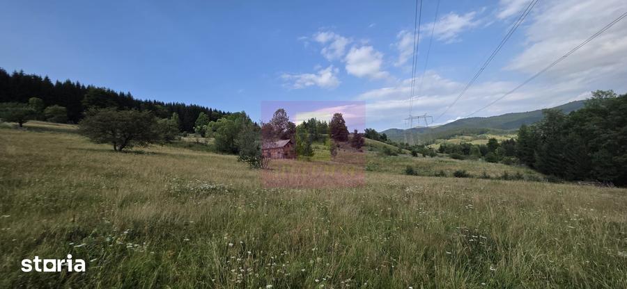 Teren intravilan de vanzare 3500 mp in Valea Doftanei - 3