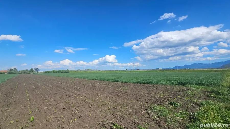 Teren în Stupini