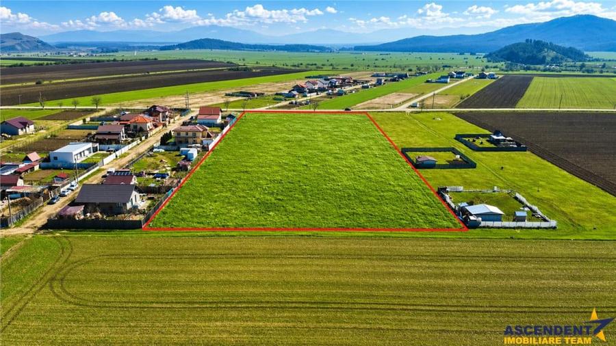 FILM! 700 mp teren intravilan, recomandat constructie casa - 1