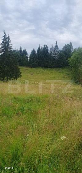 Teren 7.671 mp, (4.044 mp intravilan) zona Panaci - Vatra Dornei - 3