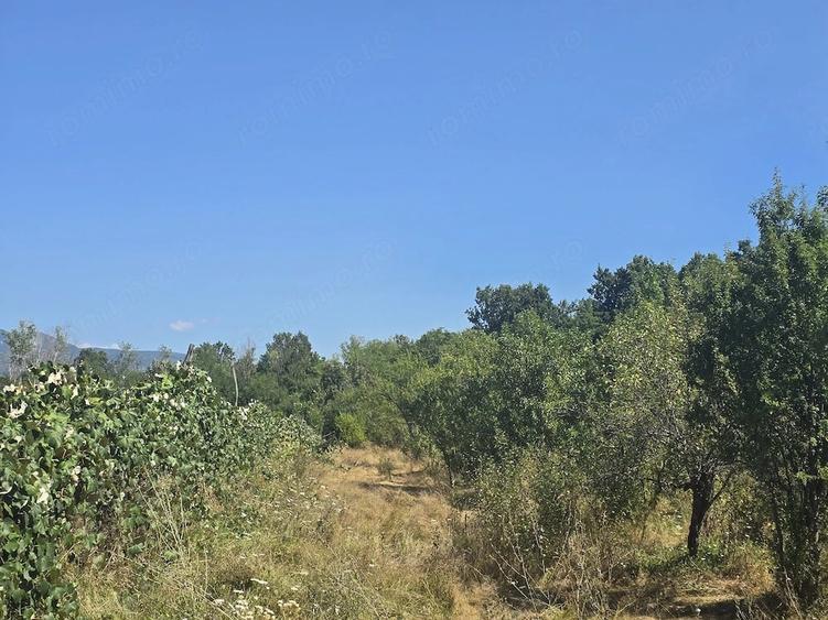 Casă cu Teren 11397 Mp în Central