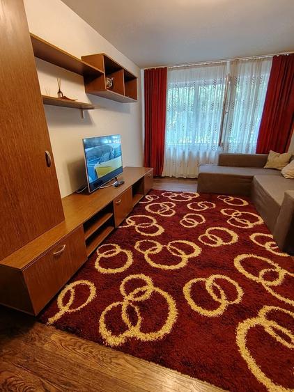 Apartament cu 2 camere semidecomandat în Ozana
