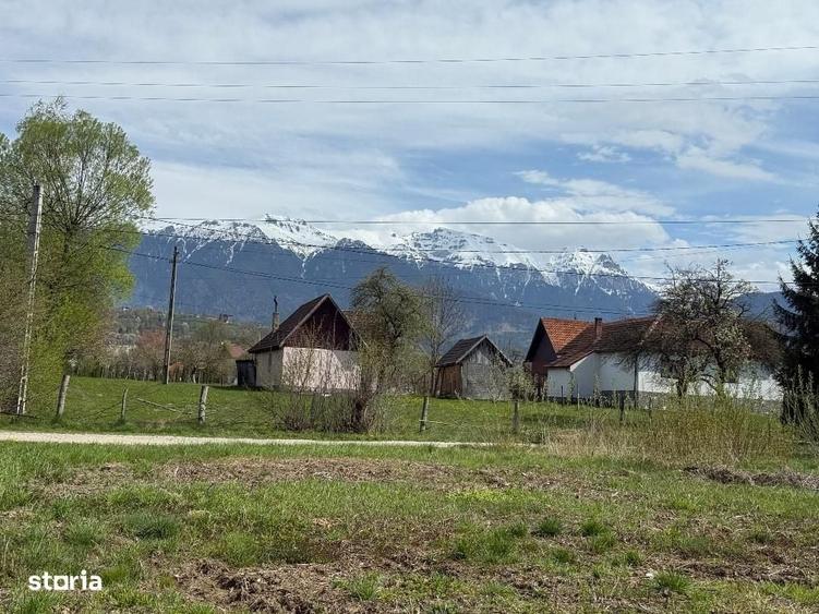 Spațiu comercial, în Bran