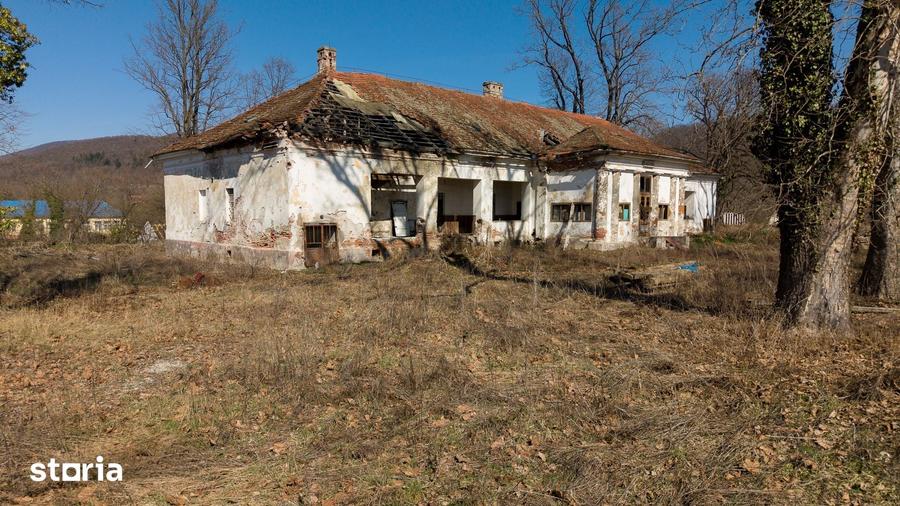 Casă cu 8 camere cu Teren 7235 Mp în Traian Vuia