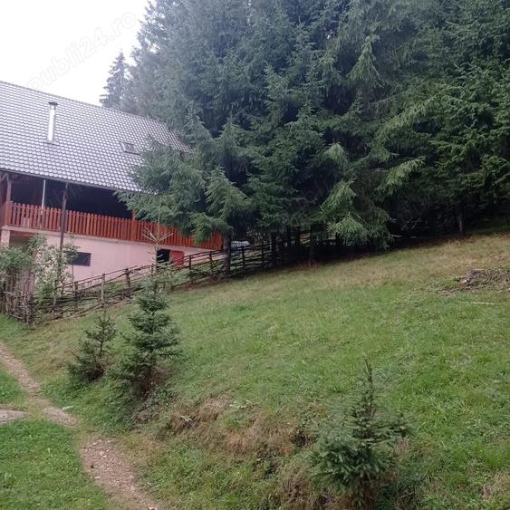 Teren în Muntele Băișorii