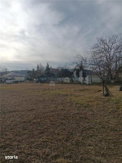 Teren de 3500 mp, în Bârnova