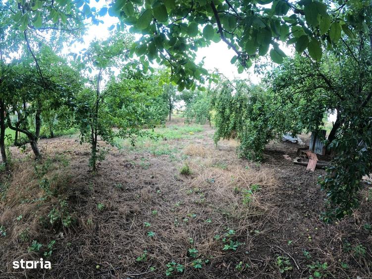 Casă cu 3 camere cu Teren 1038 Mp în Vedea