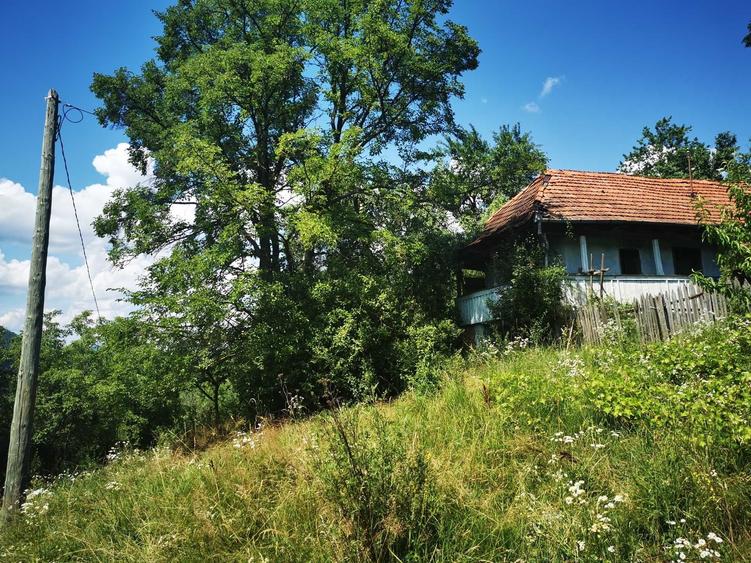 Teren de 42500 mp, în Barbura