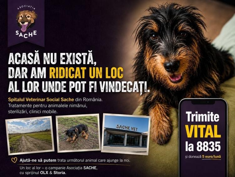 Spațiu comercial, în Central