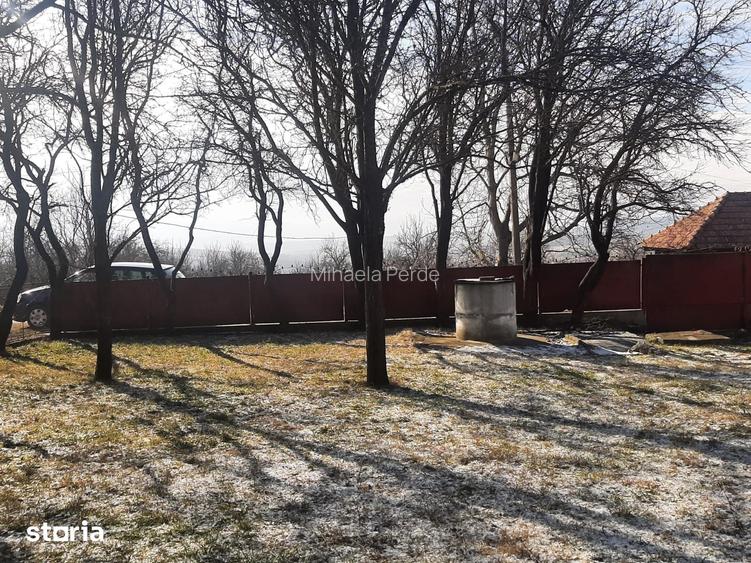 Teren cu utilitati si casa veche in Rediu