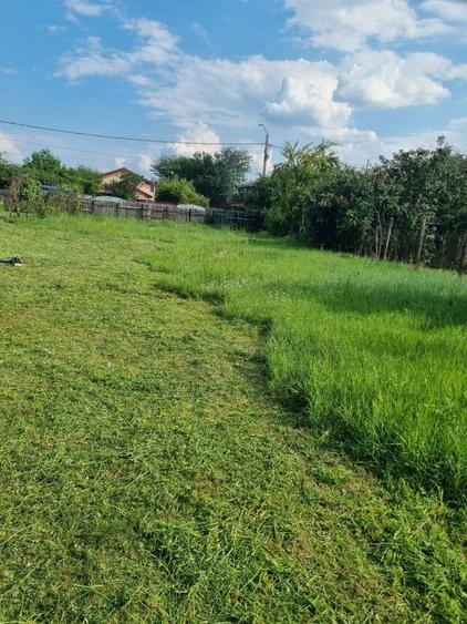 Teren Intravilan,1500 mp Tunari,Dimieni - 1