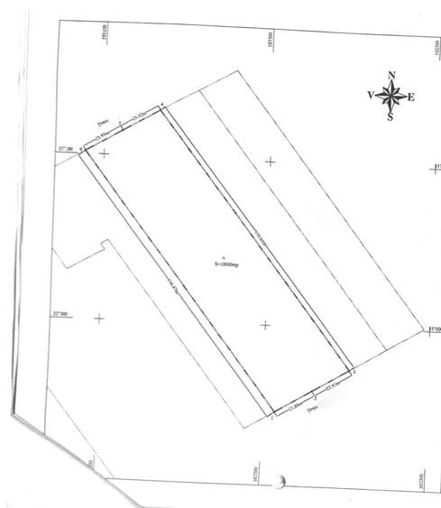Teren Construcții intravilan de 10000 mp, în Odăi