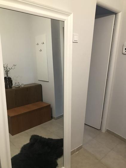 Garsonieră decomandată în Alexandru cel Bun