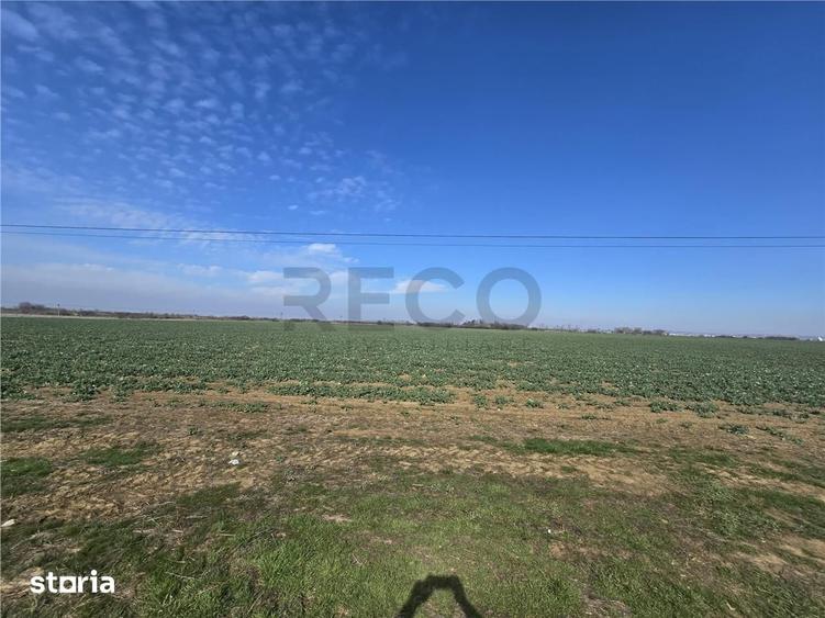 Teren de 5754 mp, în Nojorid
