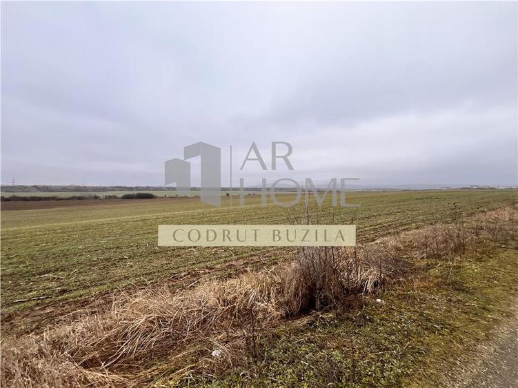Teren Construcții intravilan de 4792 mp, în Bucov