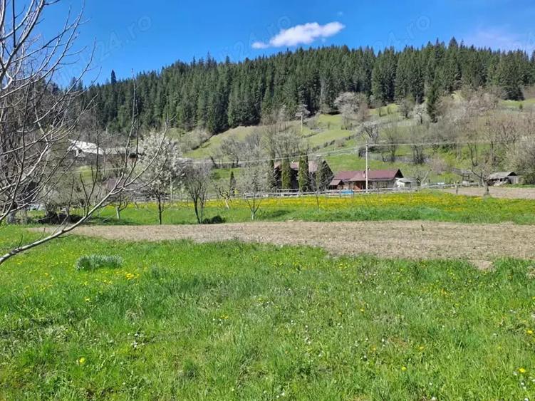 Teren de 3300 mp, în Poiana Largului