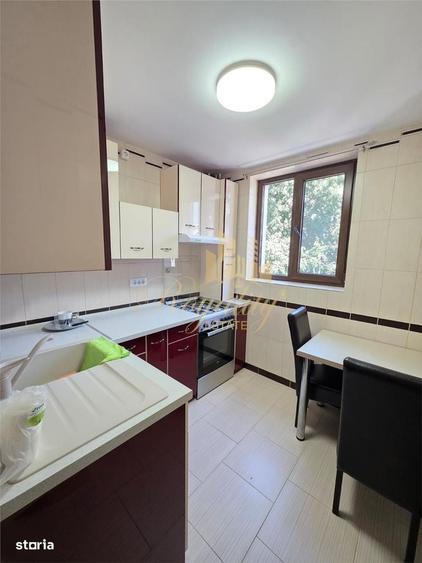 Apartament cu 2 camere decomandat în Șagului