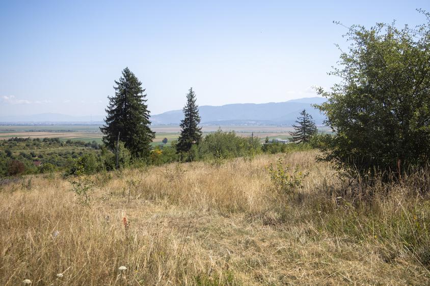 Teren extravilan de 4200 mp, în Vulcan