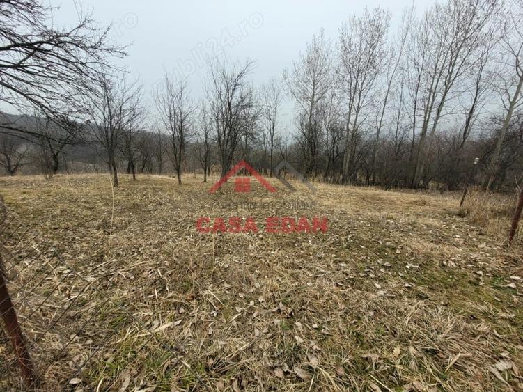 Casă cu Teren 1358 Mp în Gura Beliei