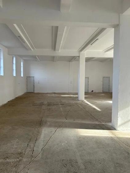 Spațiu industrial, de 1,300 mp, în Brestei