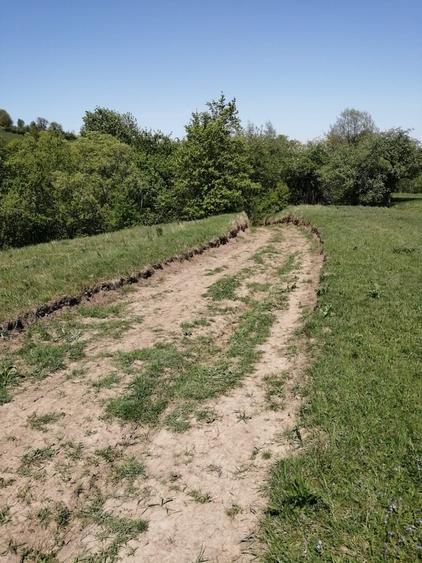 Teren de 1600 mp, în Cacica